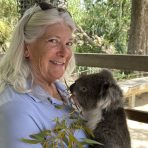  Bingo Koala, Gorge Wildlife Park South Australia.3